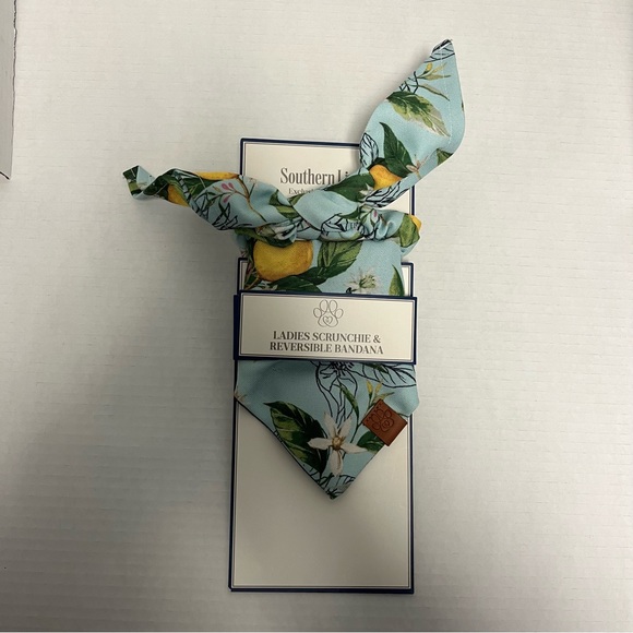 Southern Living Scrunchie & Pet Reversible Bandana Matching Set Sz XS/S NWT - Picture 2 of 10
